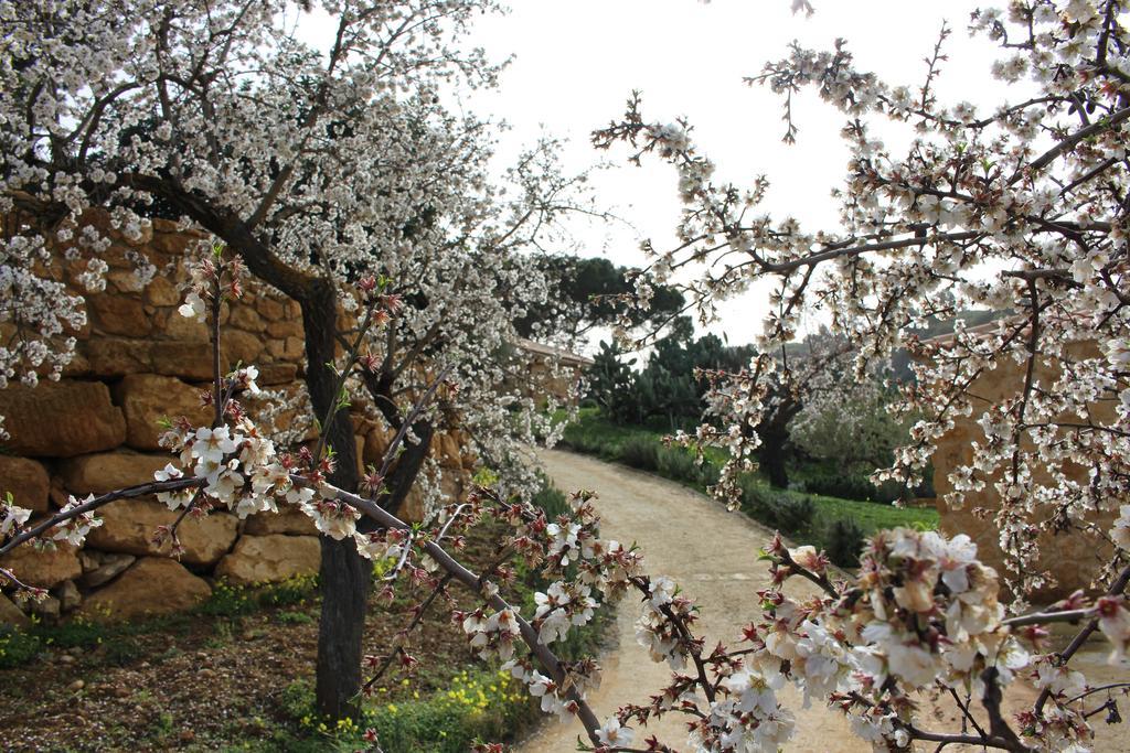 Agriturismo Feudo Muxarello Aragona Экстерьер фото