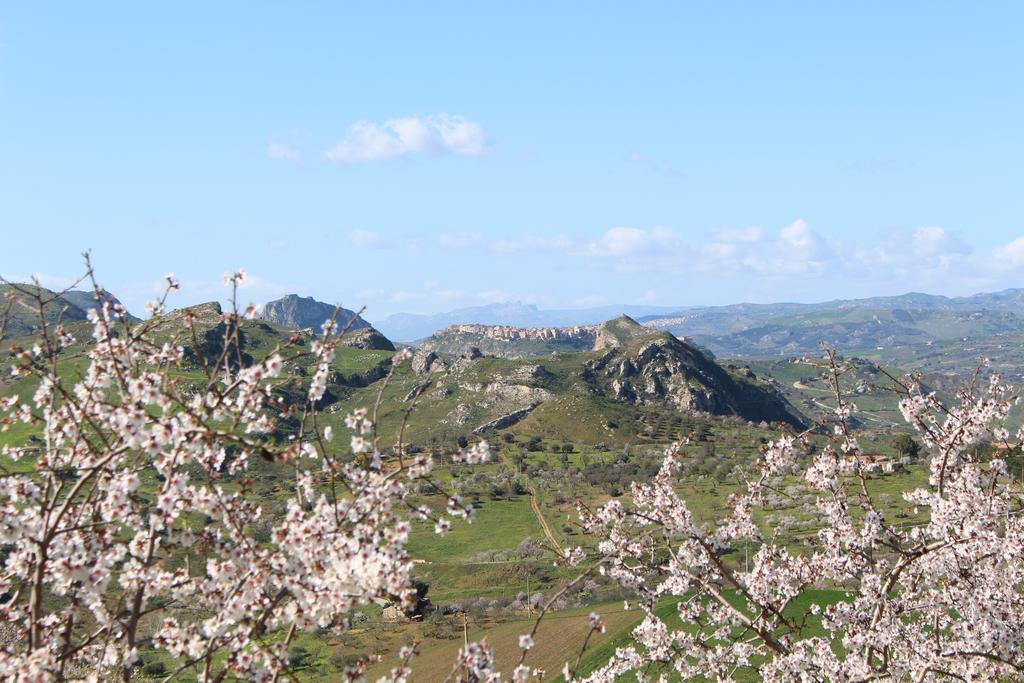 Вилла Agriturismo Feudo Muxarello Aragona Экстерьер фото