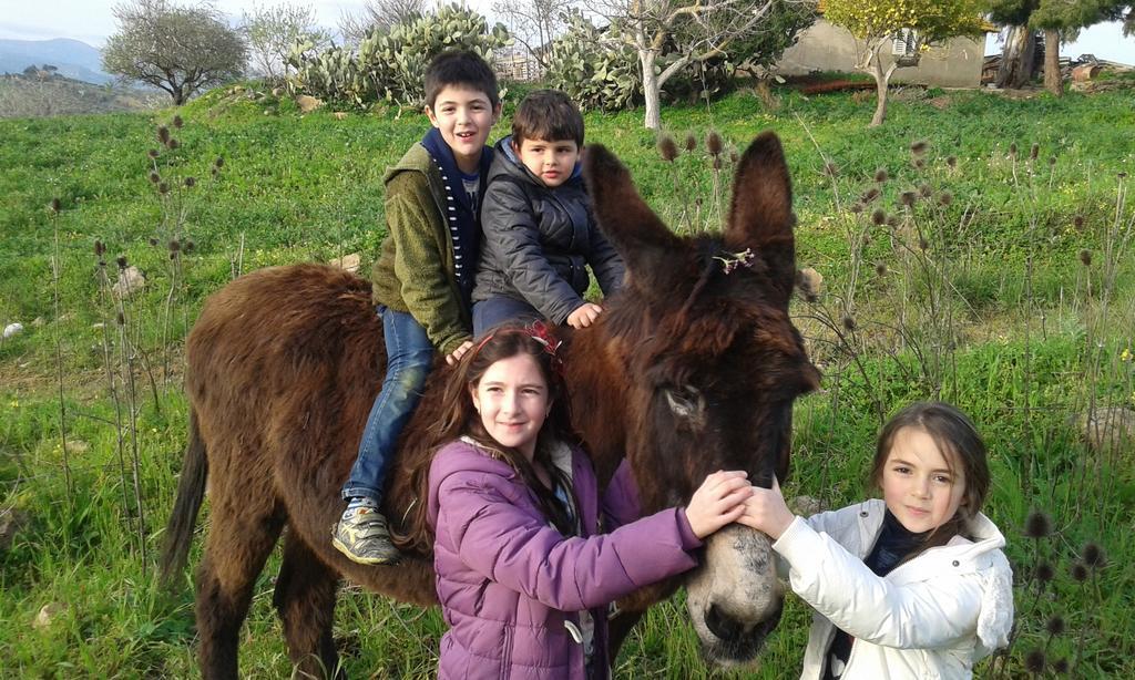 Вилла Agriturismo Feudo Muxarello Aragona Экстерьер фото